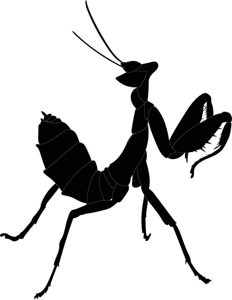 spiny praying mantis silhouette vector