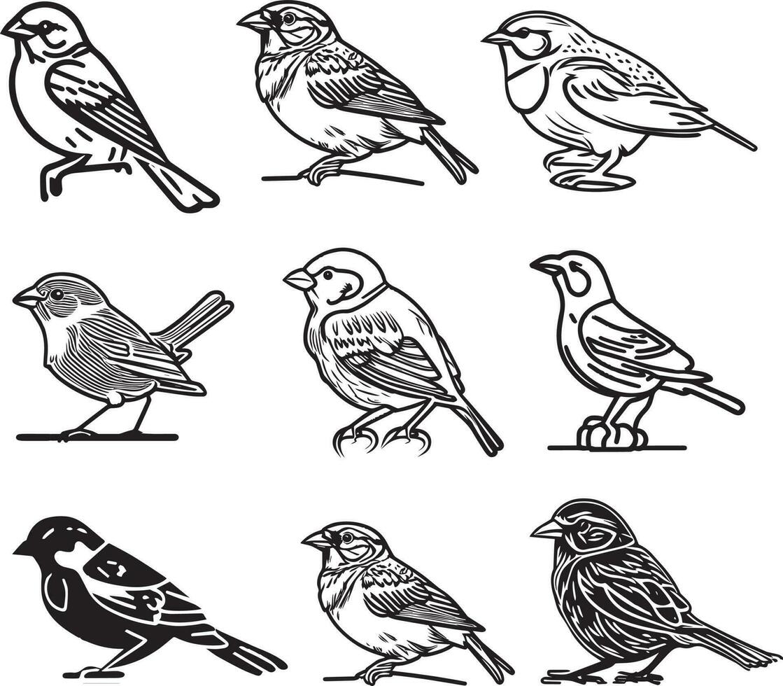 Sparrow Outline Icon Isolated Line Vector Illustration