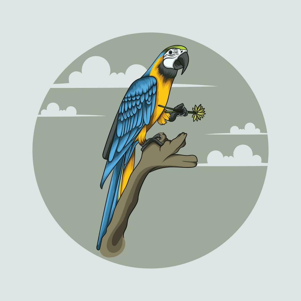 parrot on a branch holding flowers vector