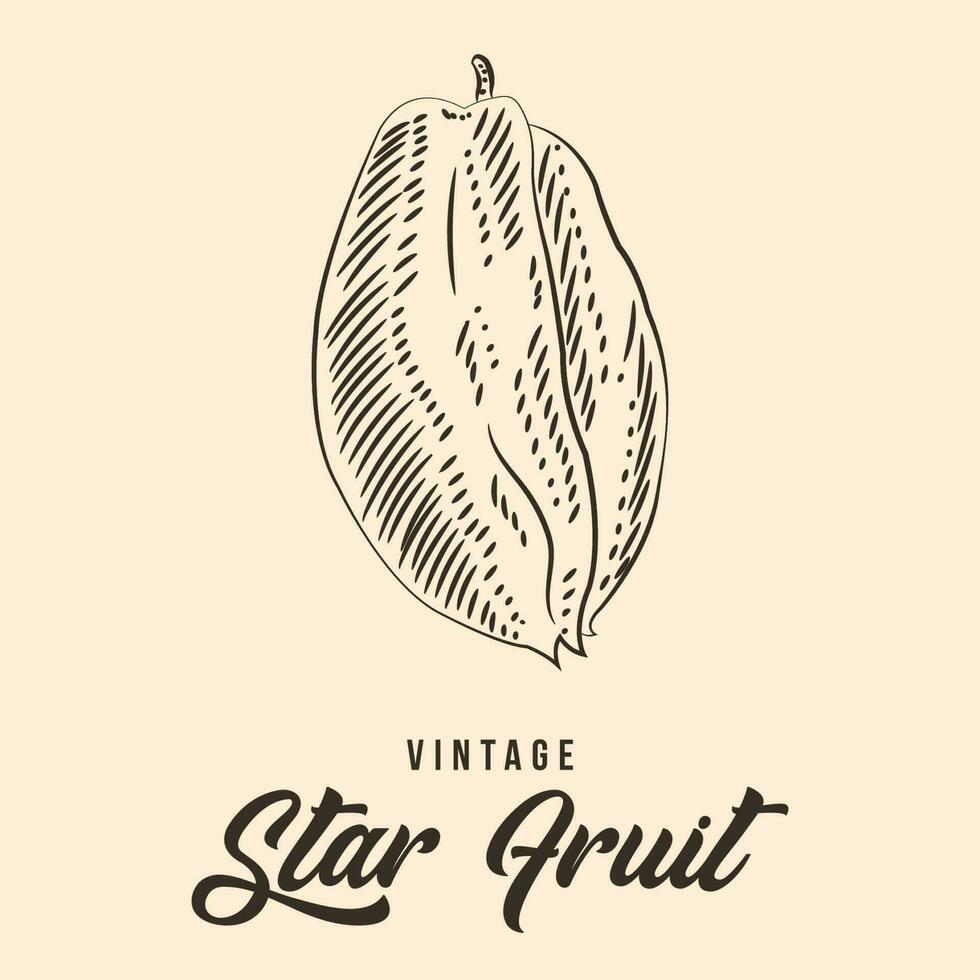 Vintage Hand Drawing Star Fruit Sketch Vector Stock Illustration