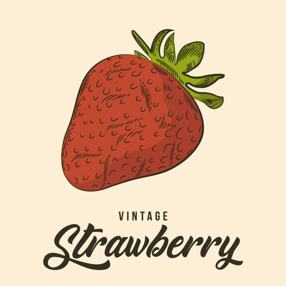 Vintage Hand Drawing strawberry Fruit Sketch Vector Stock Illustration
