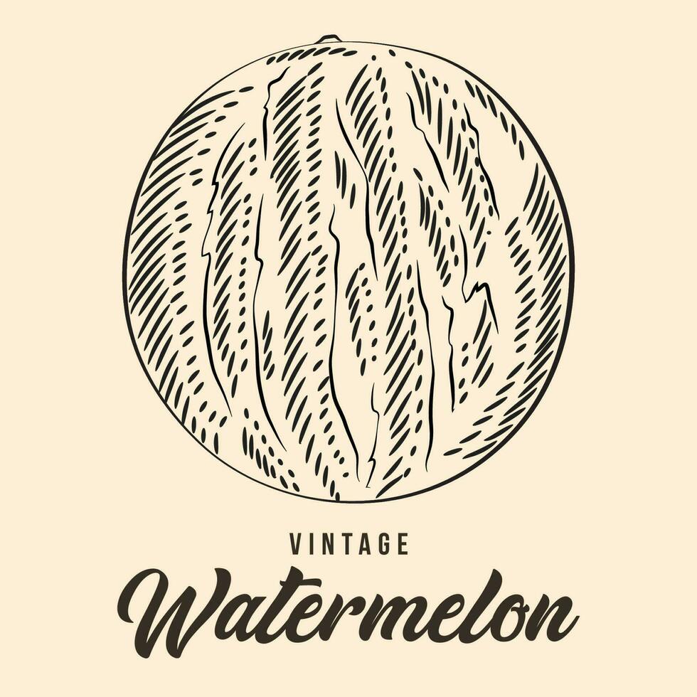 Vintage Hand Drawing Watermelon Fruit Sketch Vector Stock Illustration