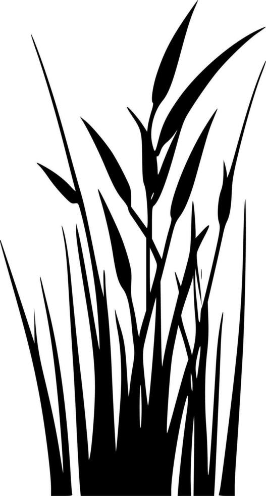 Grass, Black and White Vector illustration