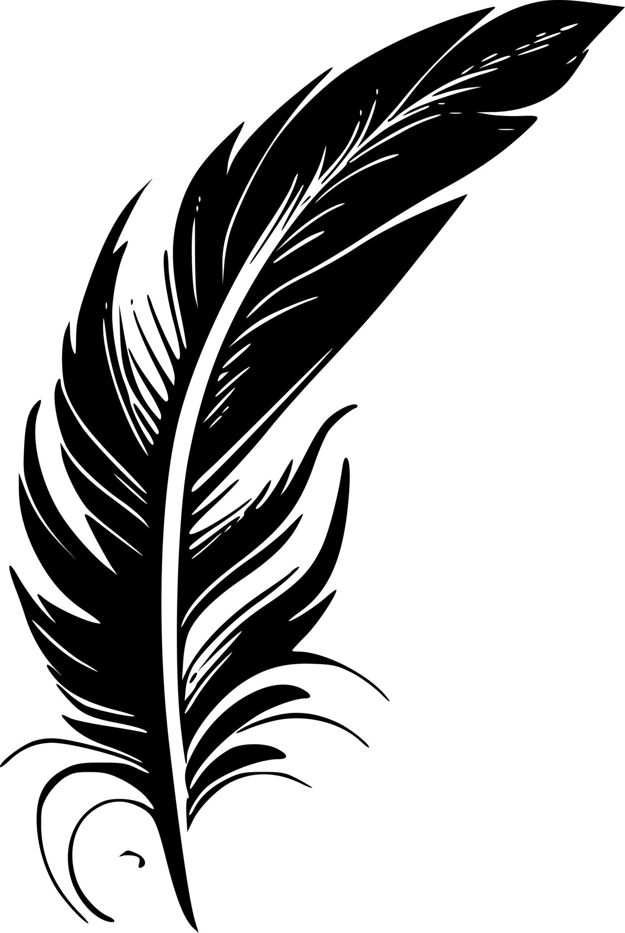 Feathers - Black and White Isolated Icon - Vector illustration 24140466
