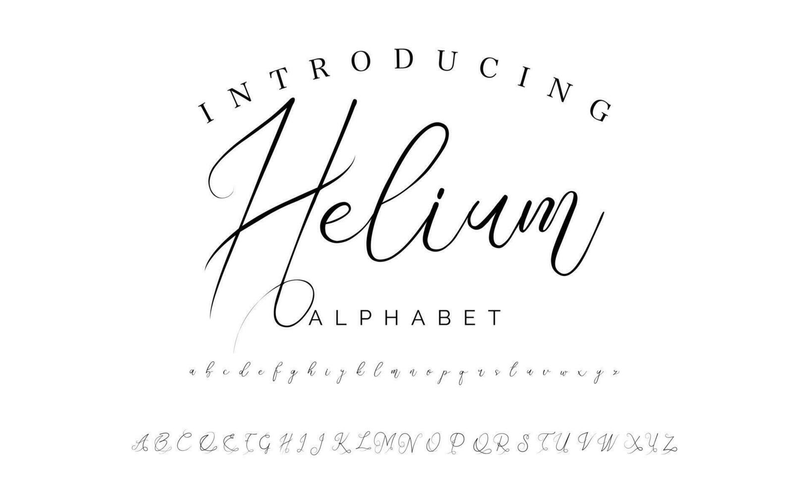 Signature Font Calligraphy Logotype Script Brush Font Type Font lettering handwritten vector