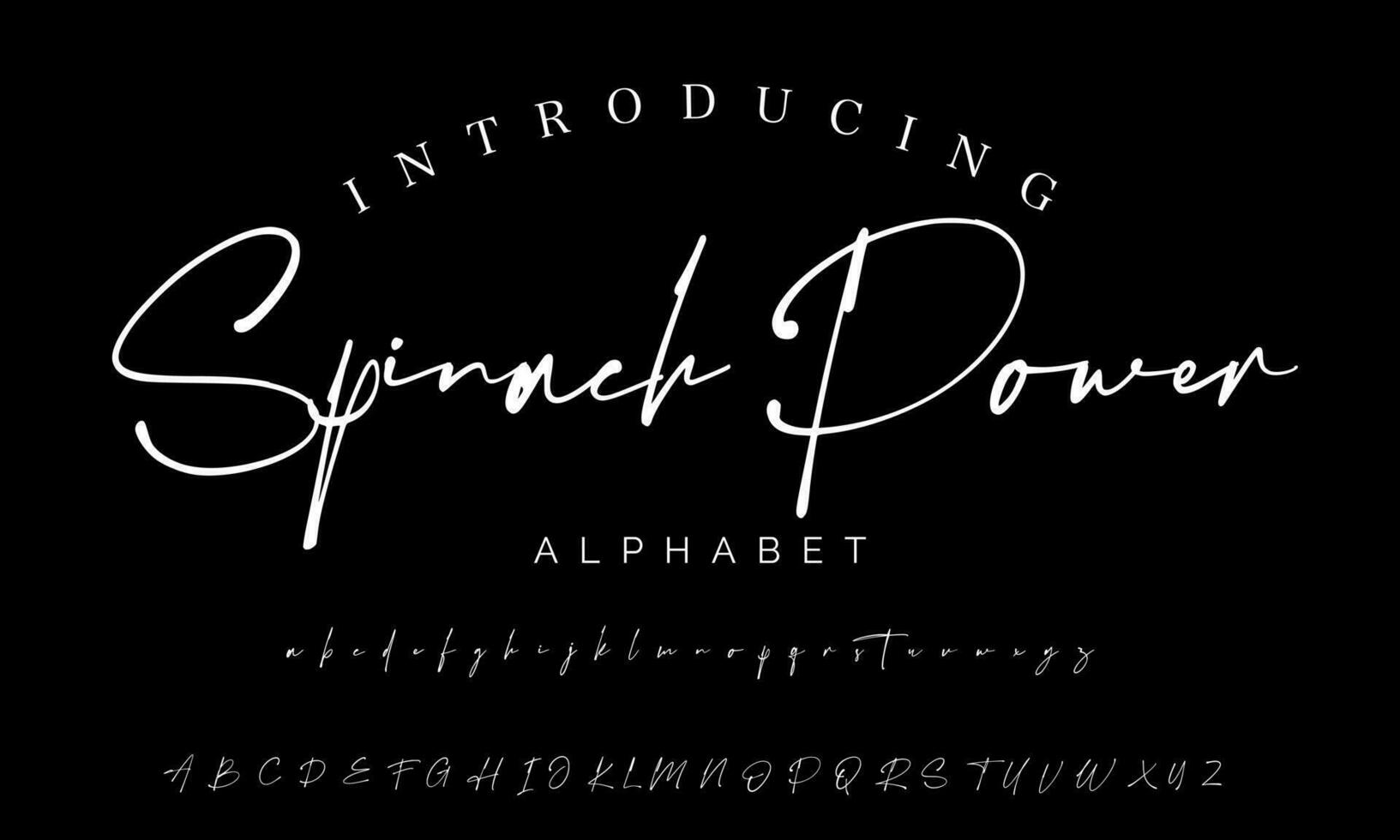 Signature Font Calligraphy Logotype Script Brush Font Type Font lettering handwritten vector