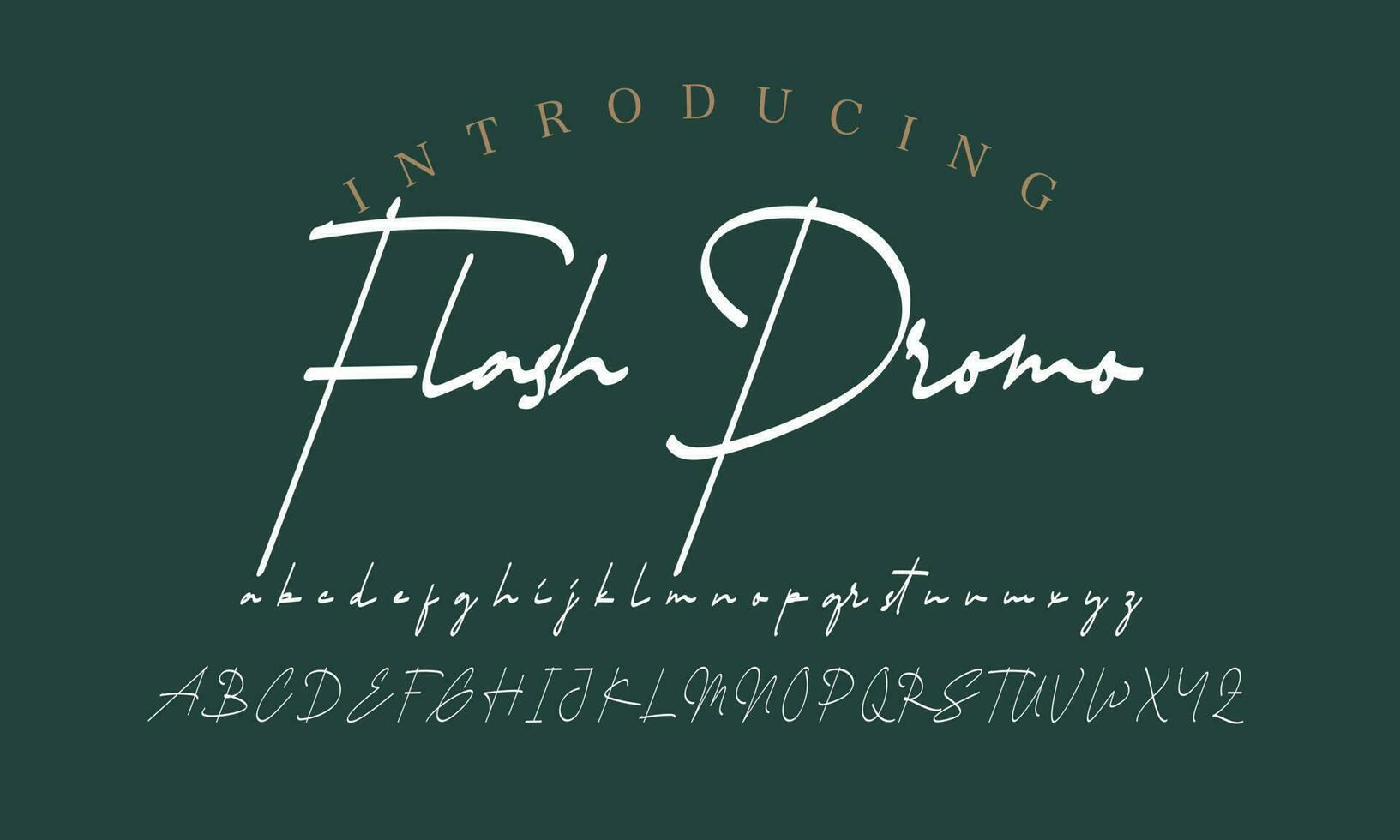 Signature Font Calligraphy Logotype Script Brush Font Type Font lettering handwritten vector