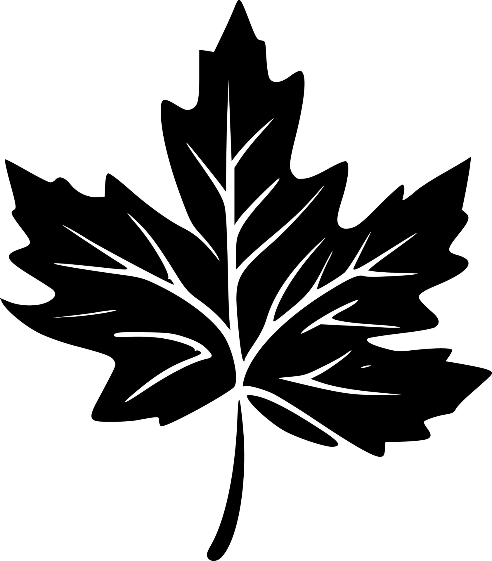 Leaves, Black and White Vector illustration 24141959 Vector Art at Vecteezy