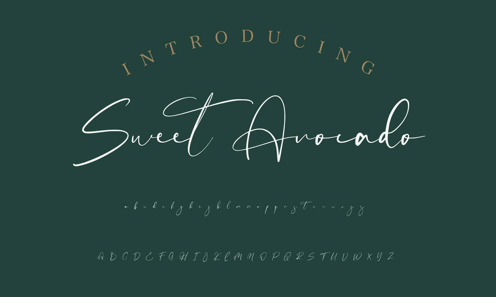 Signature Font Calligraphy Logotype Script Brush Font Type Font lettering handwritten vector