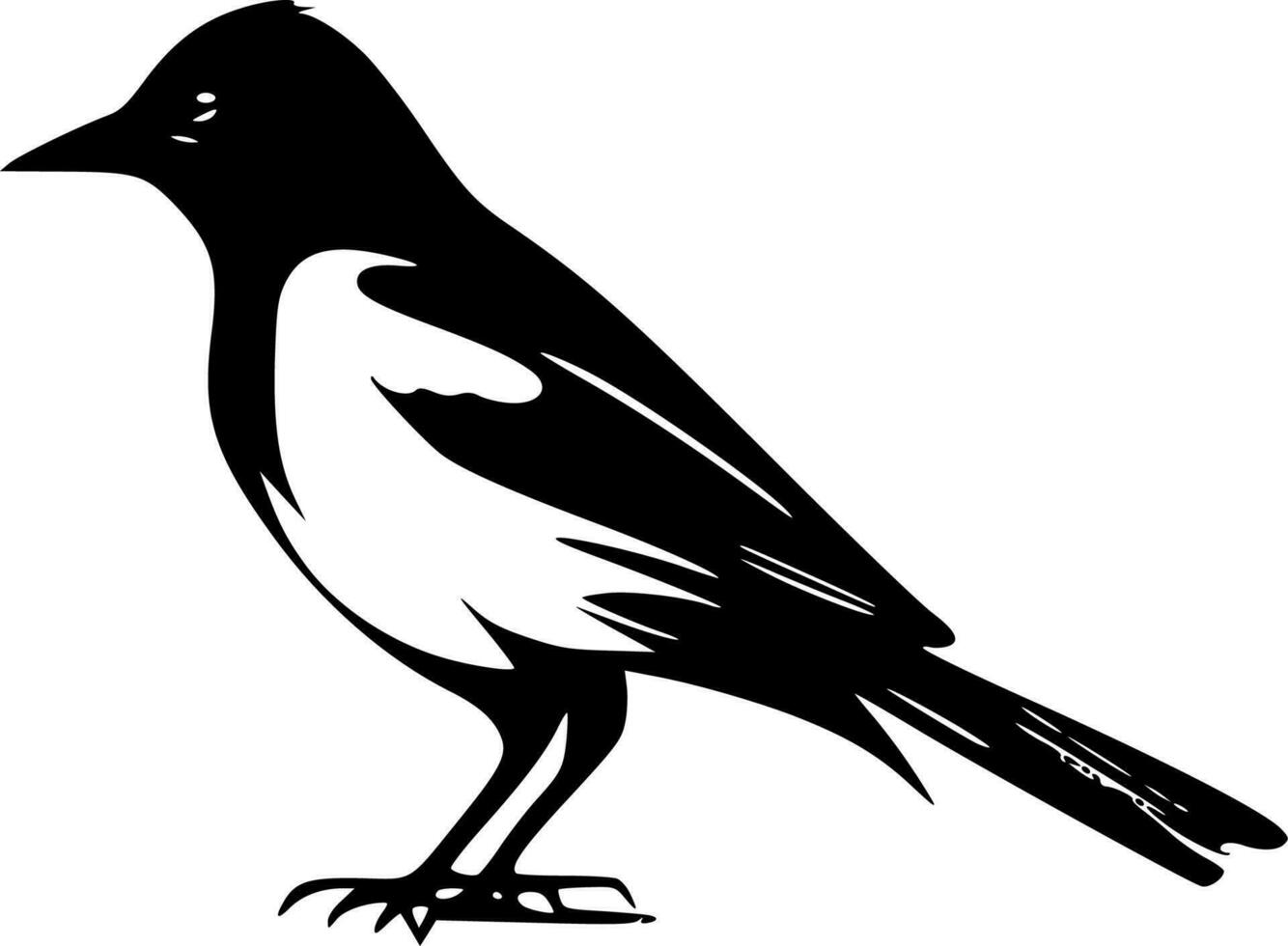 Magpie, Black and White Vector illustration