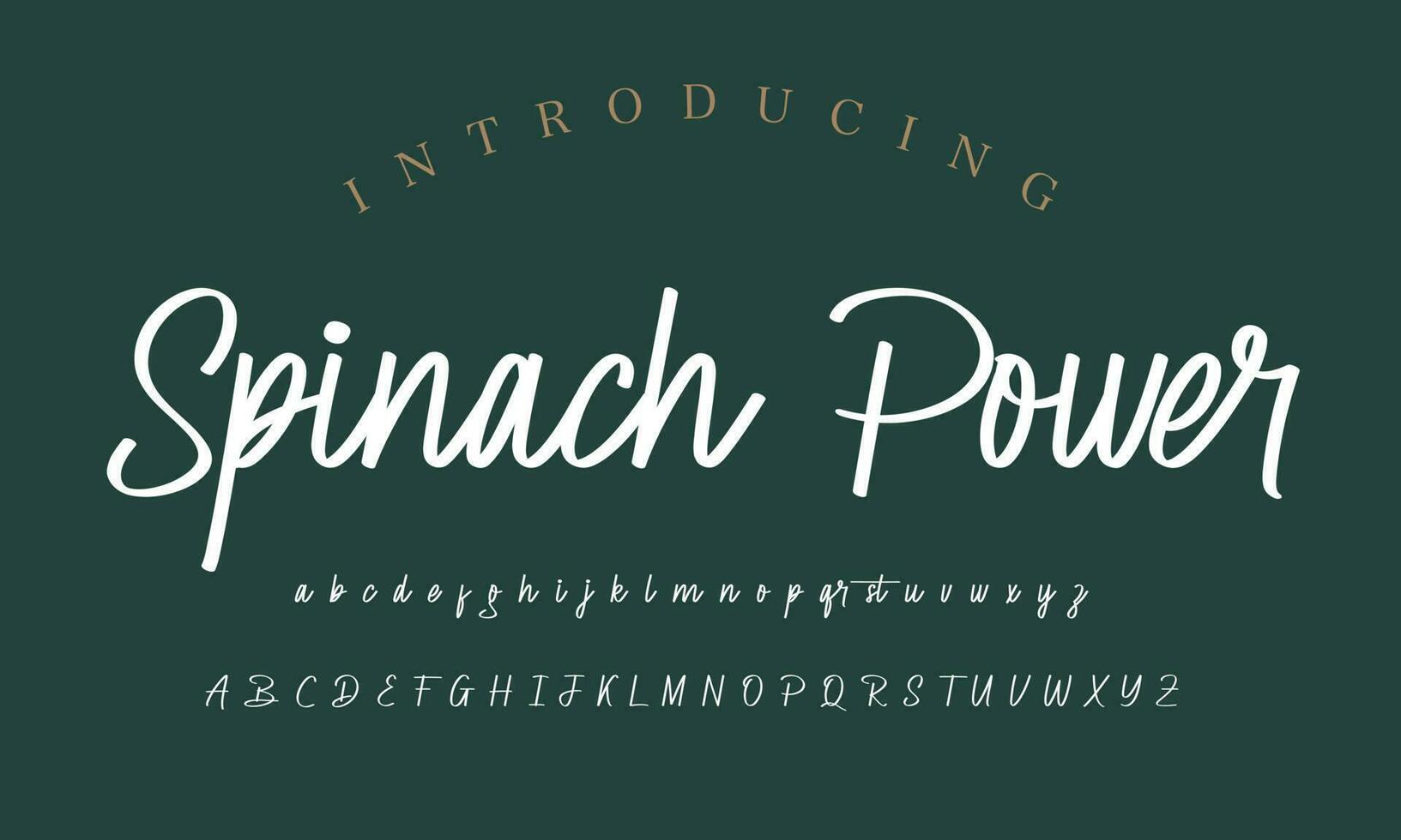 Signature Font Calligraphy Logotype Script Brush Font Type Font lettering handwritten vector