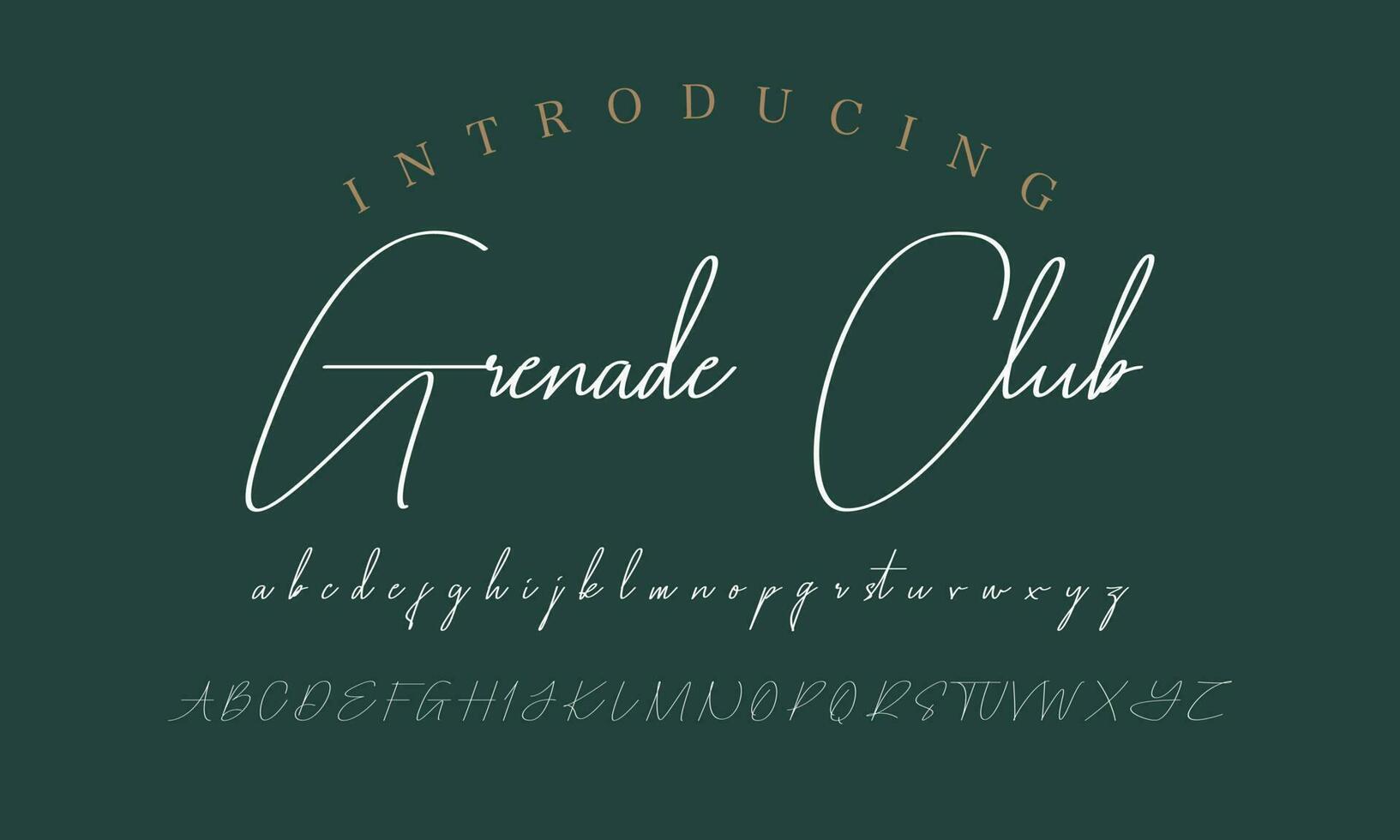 Signature Font Calligraphy Logotype Script Brush Font Type Font lettering handwritten vector