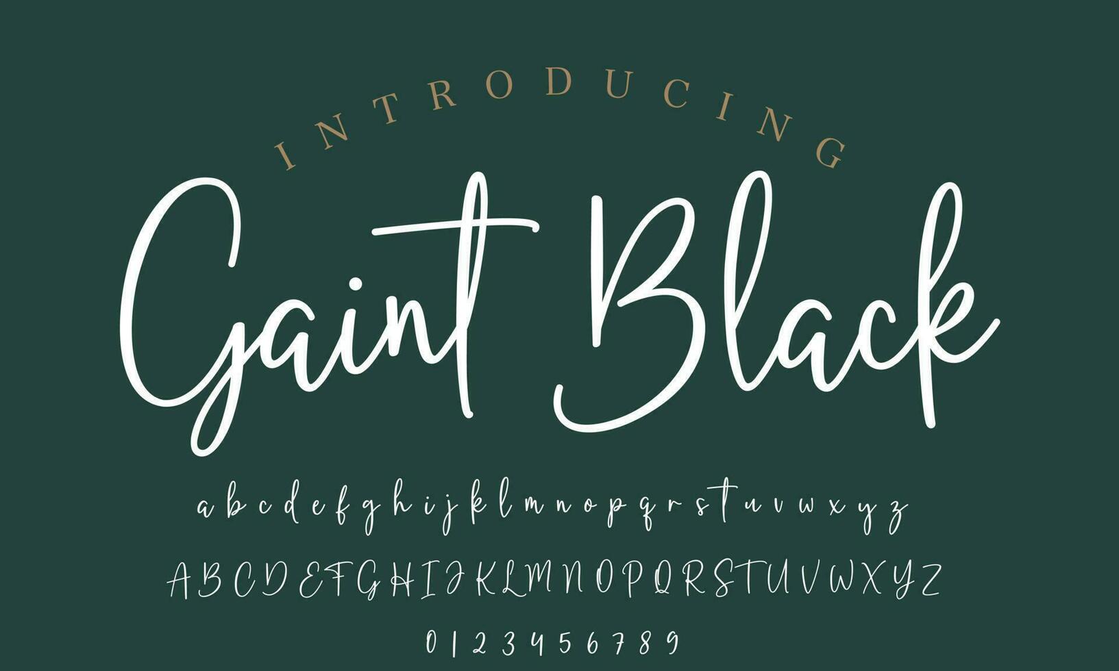 Signature Font Calligraphy Logotype Script Brush Font Type Font lettering handwritten vector