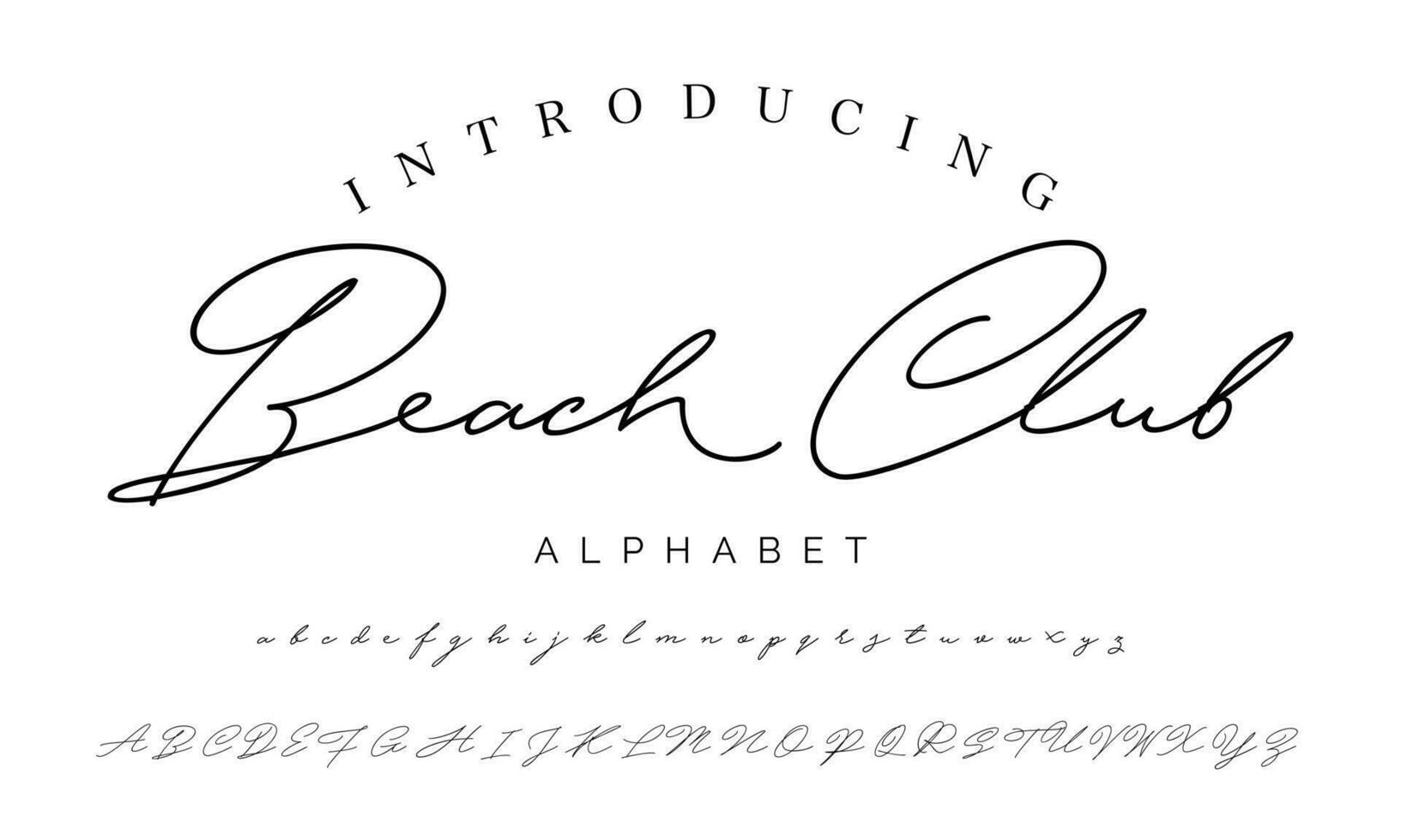 Signature Font Calligraphy Logotype Script Brush Font Type Font lettering handwritten vector