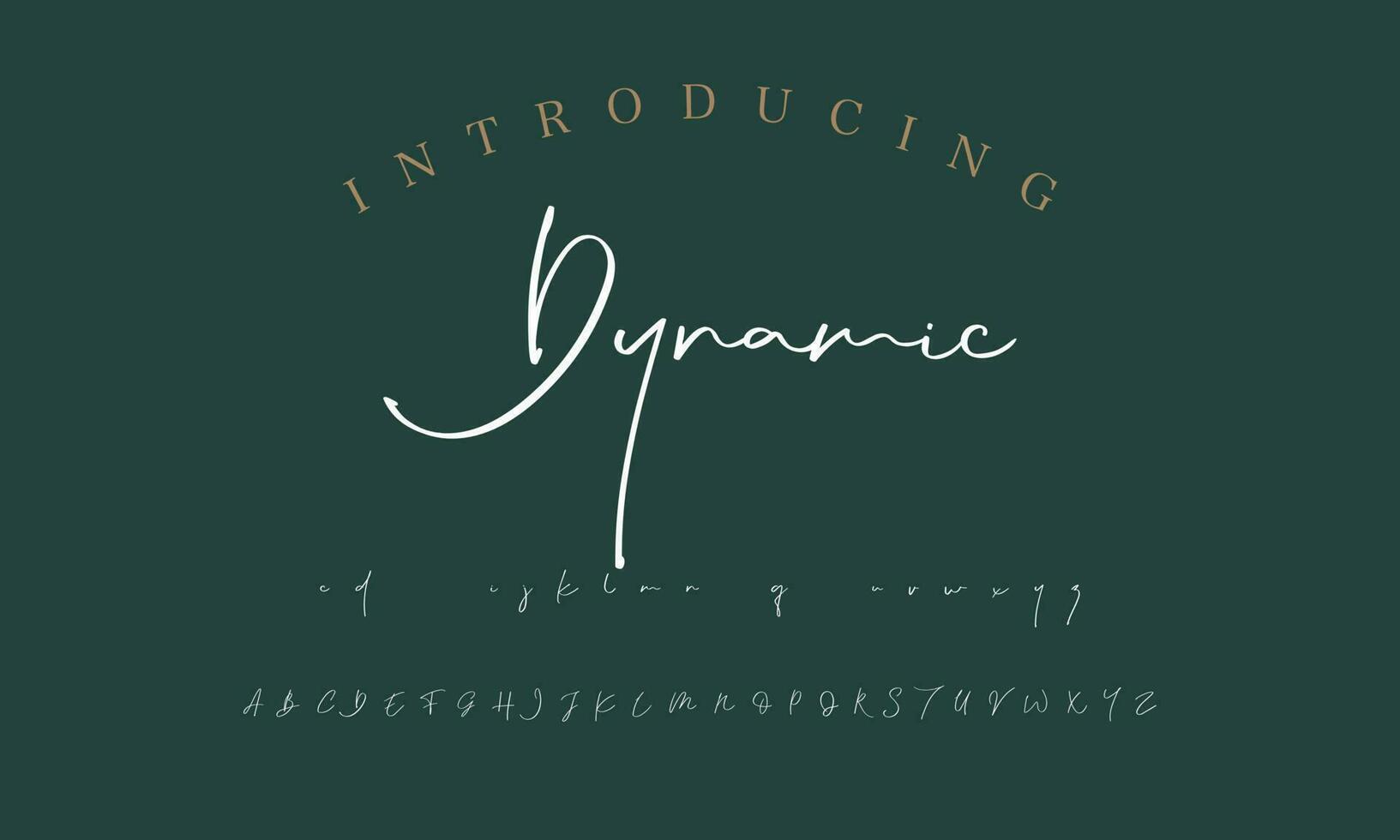 Signature Font Calligraphy Logotype Script Brush Font Type Font lettering handwritten vector