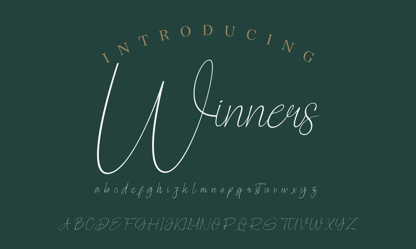 Signature Font Calligraphy Logotype Script Brush Font Type Font lettering handwritten vector