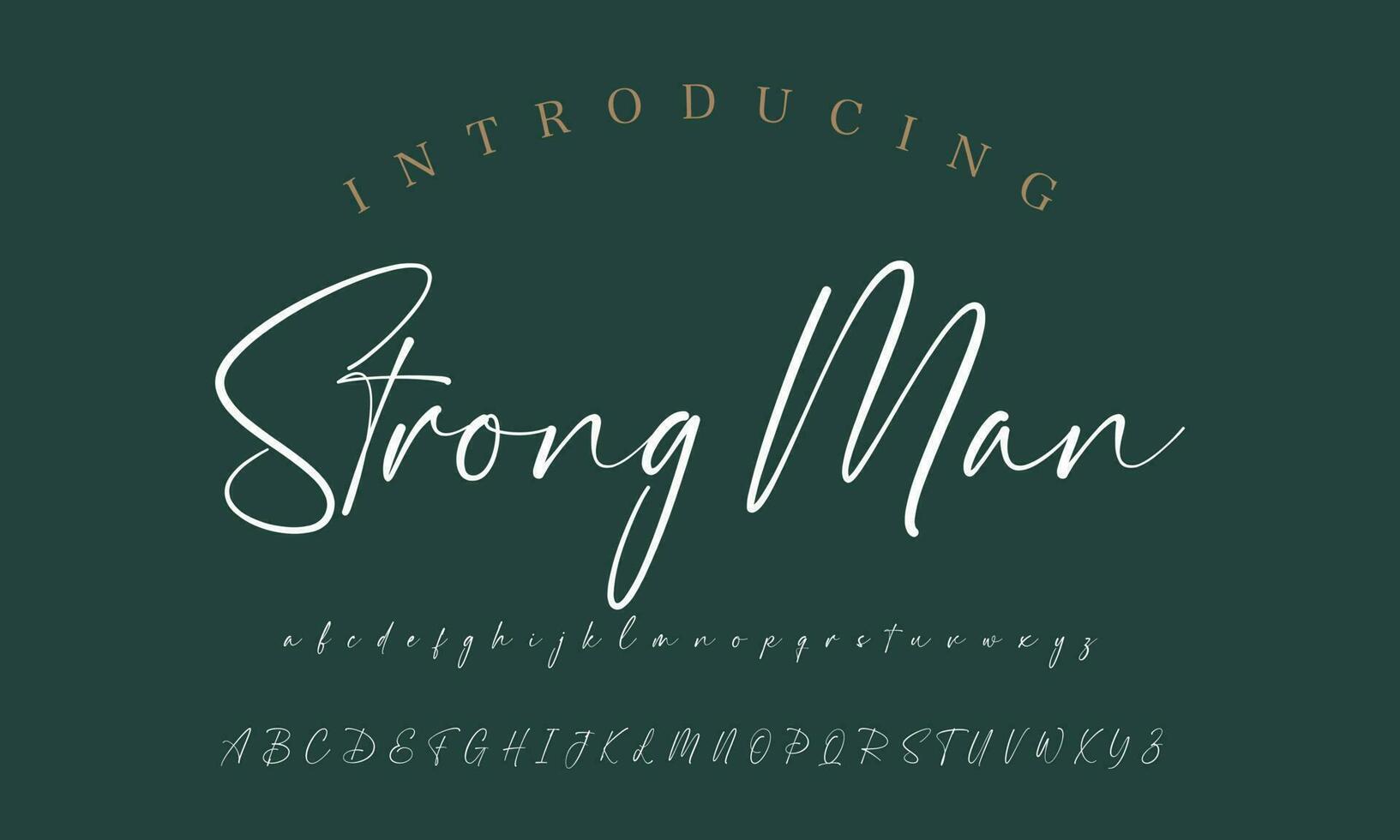 Signature Font Calligraphy Logotype Script Brush Font Type Font