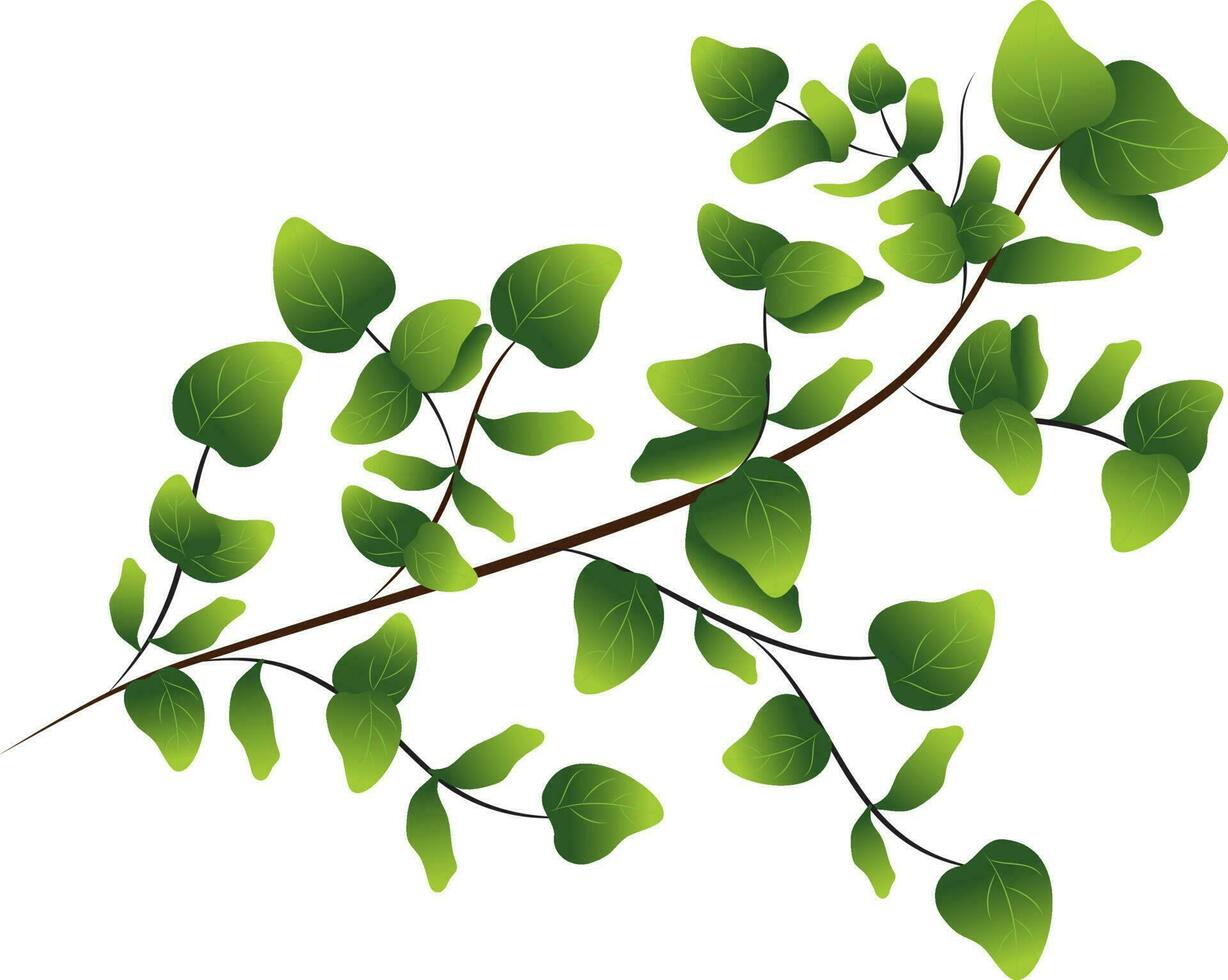 verde hojas rama terminado blanco antecedentes. vector