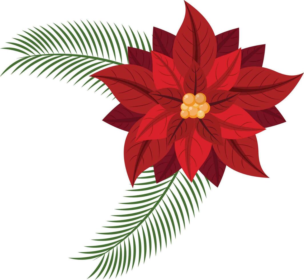 Red Poinsettia Flower With Fir Leaves On White Background. vector