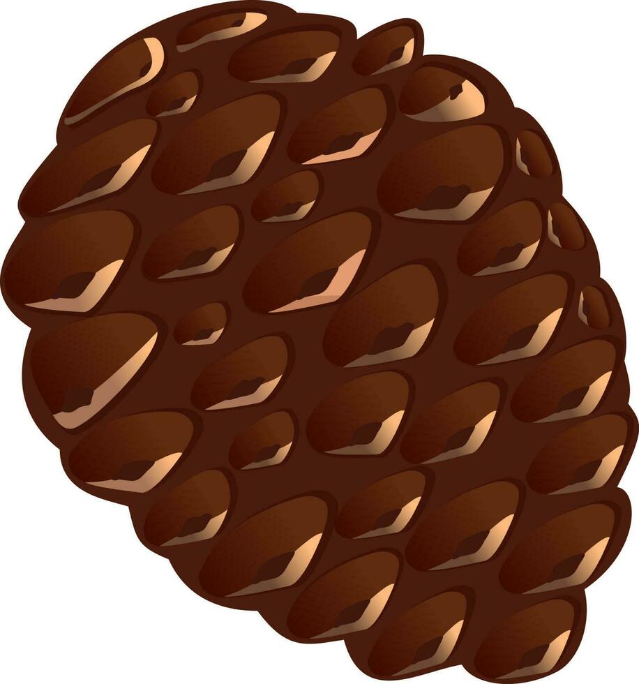 Flat Style Brown Pine Cone On White Background. vector