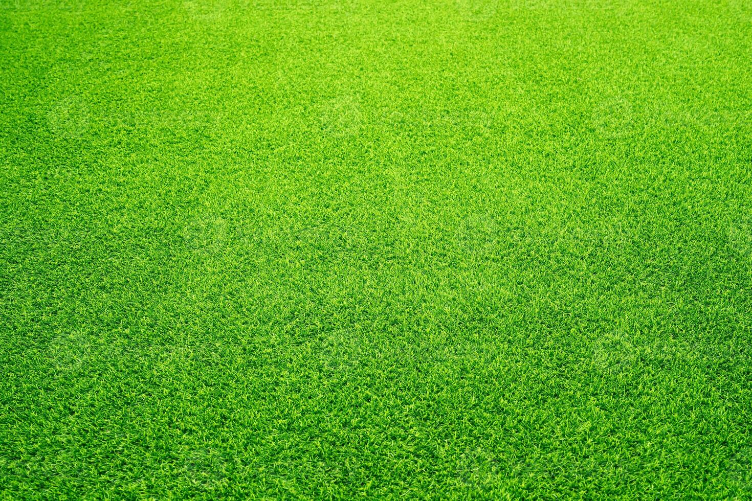 Artificial grass field meadow green. Top View Texture. photo