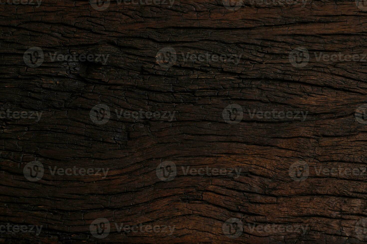 texture background pattern old oak natural beauty line photo