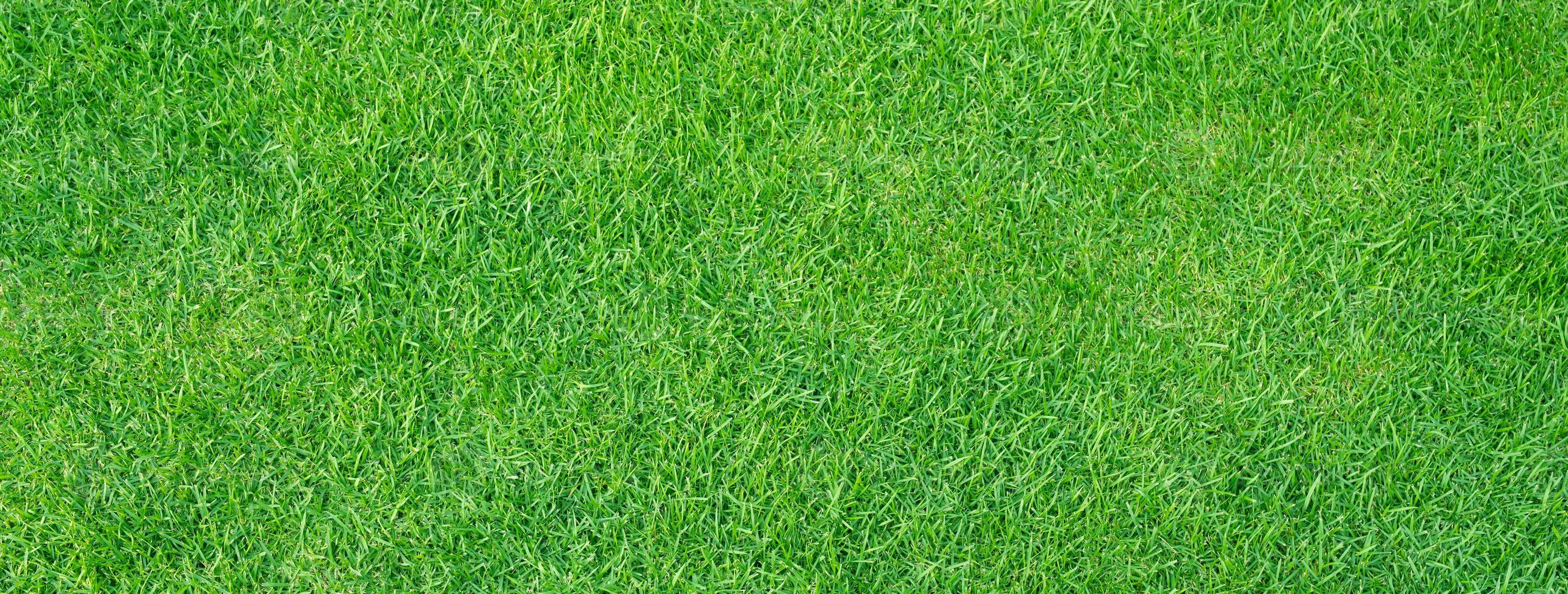 Artificial grass field meadow green. Top View Texture. photo