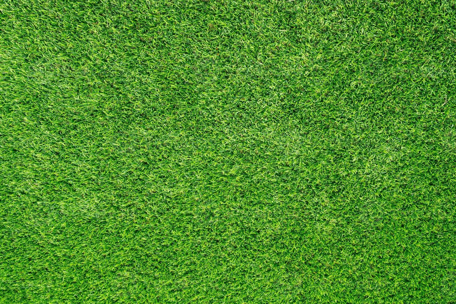 Artificial grass field meadow green. Top View Texture. photo
