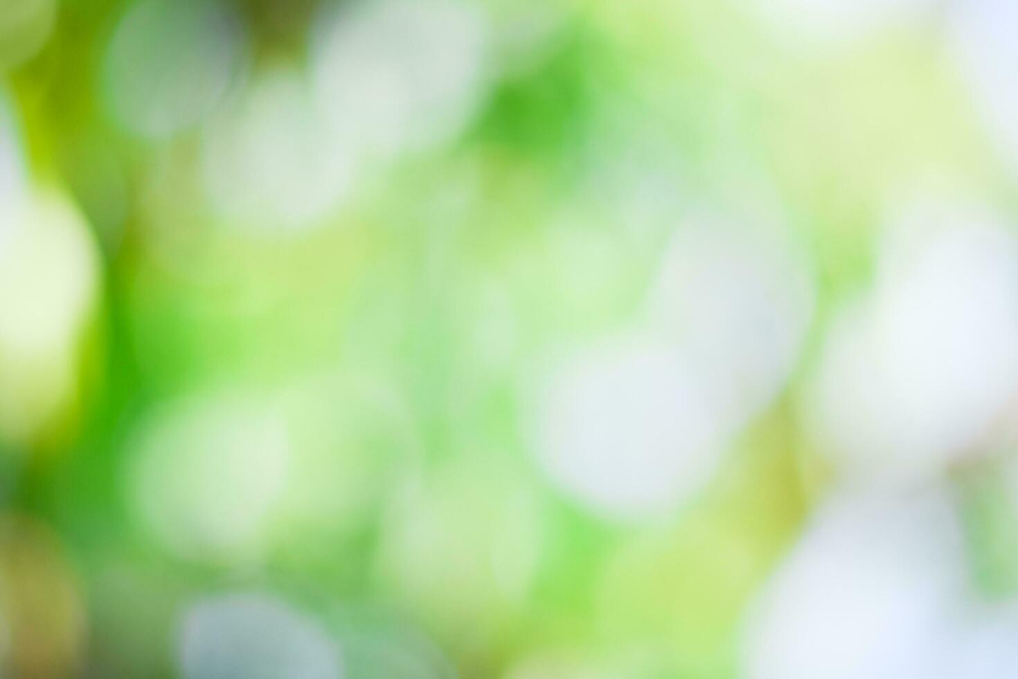 green nature background. ecology system in spring and summer background concept photo
