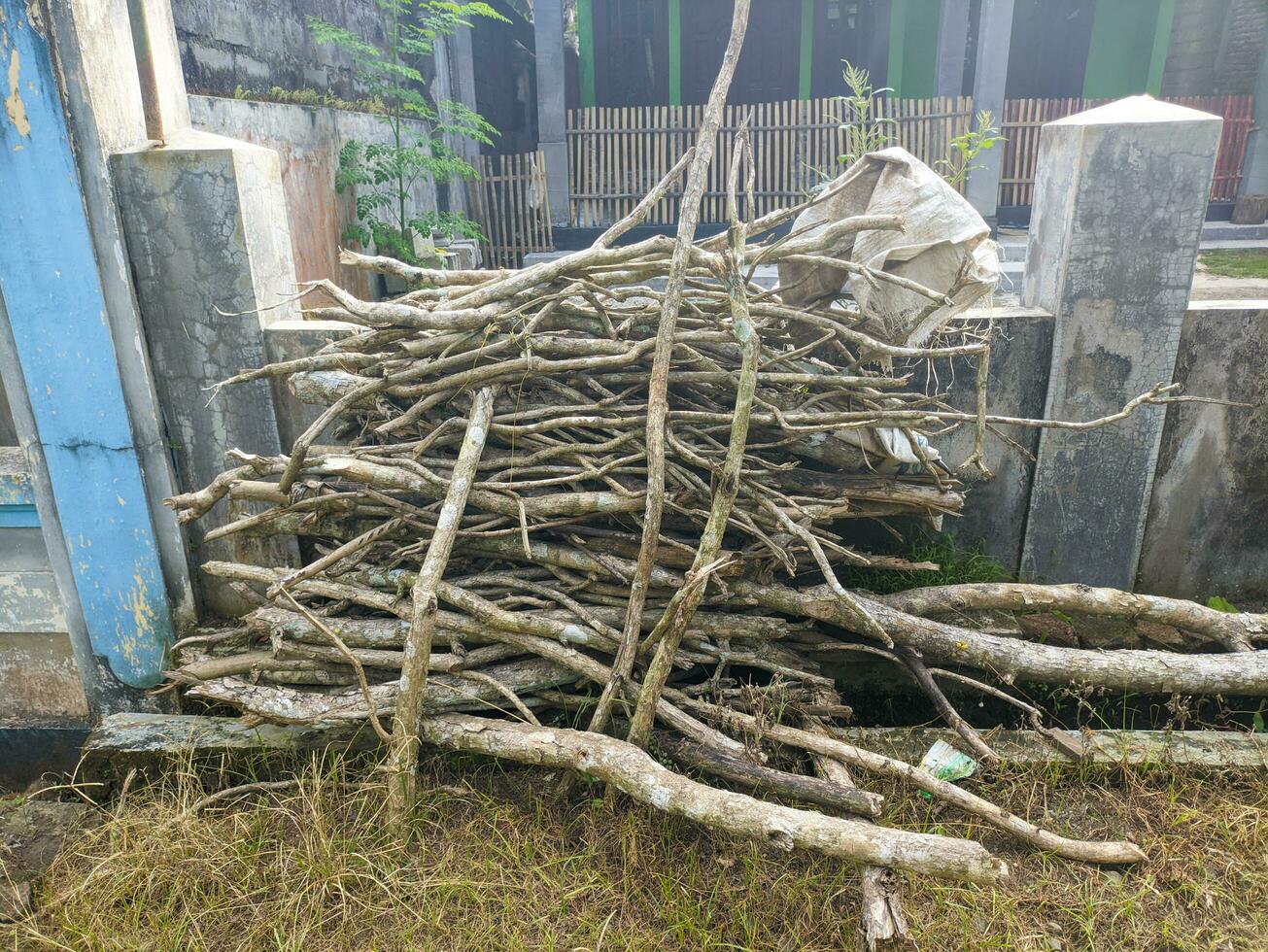 A pile of pieces of wood branches photo