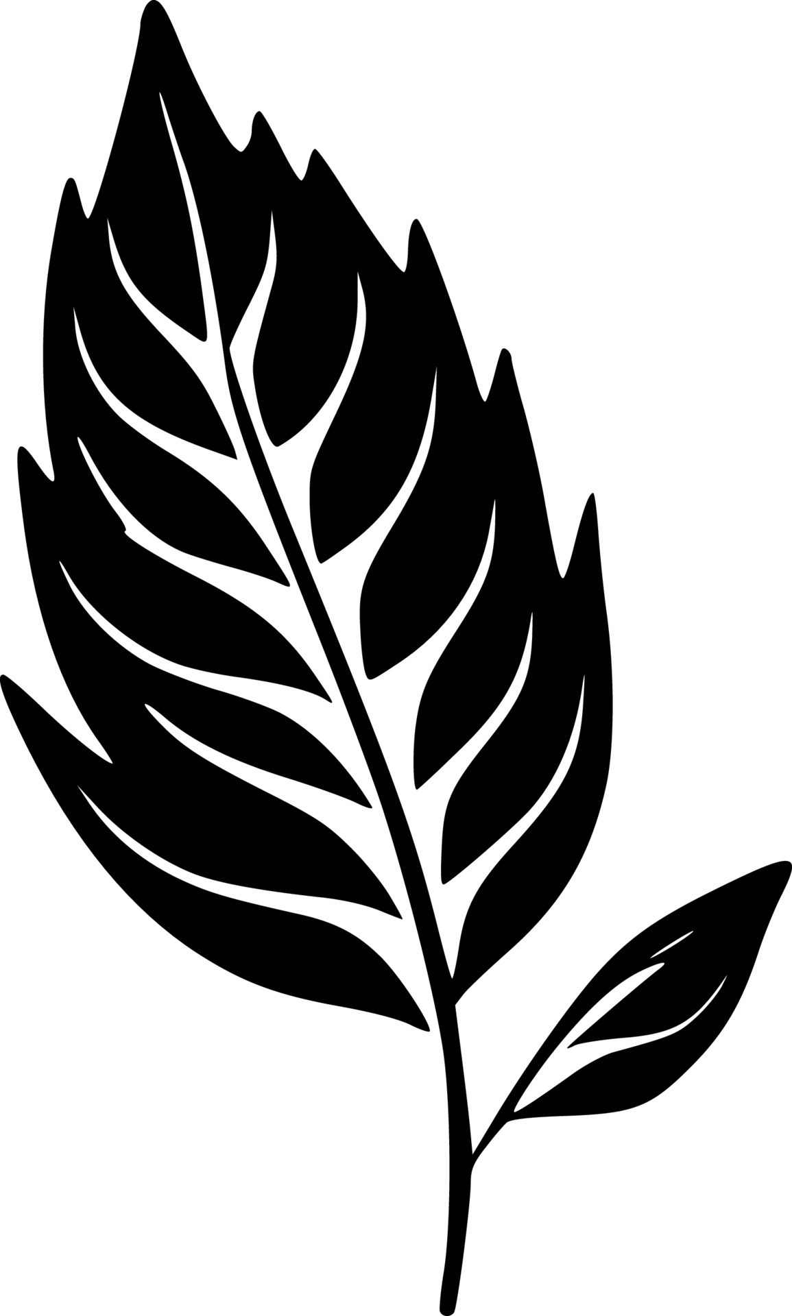 Leaf, Black and White Vector illustration 24147825 Vector Art at Vecteezy