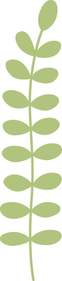 Twig, leaf  illustration. vector