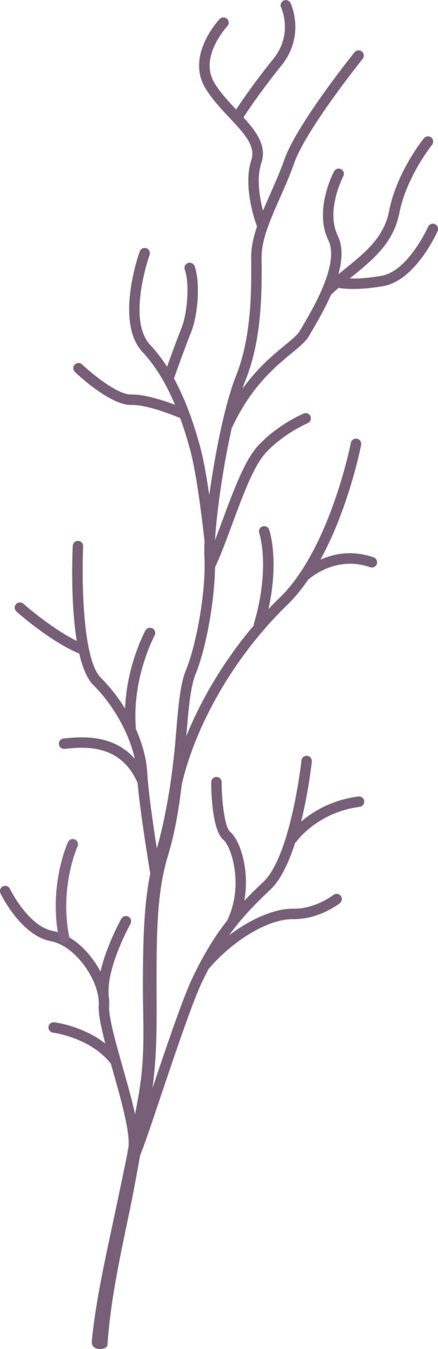 Twig, leaf illustration. 24148505 Vector Art at Vecteezy