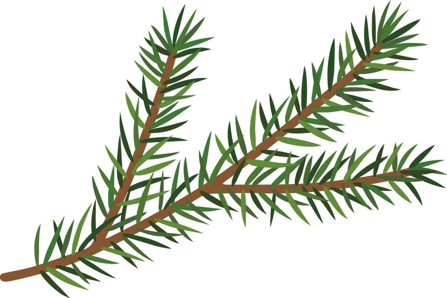 Branch of the Christmas tree vector