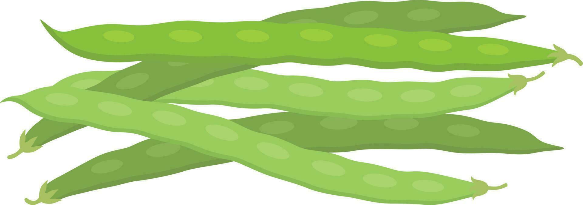 Green beans illustration vector