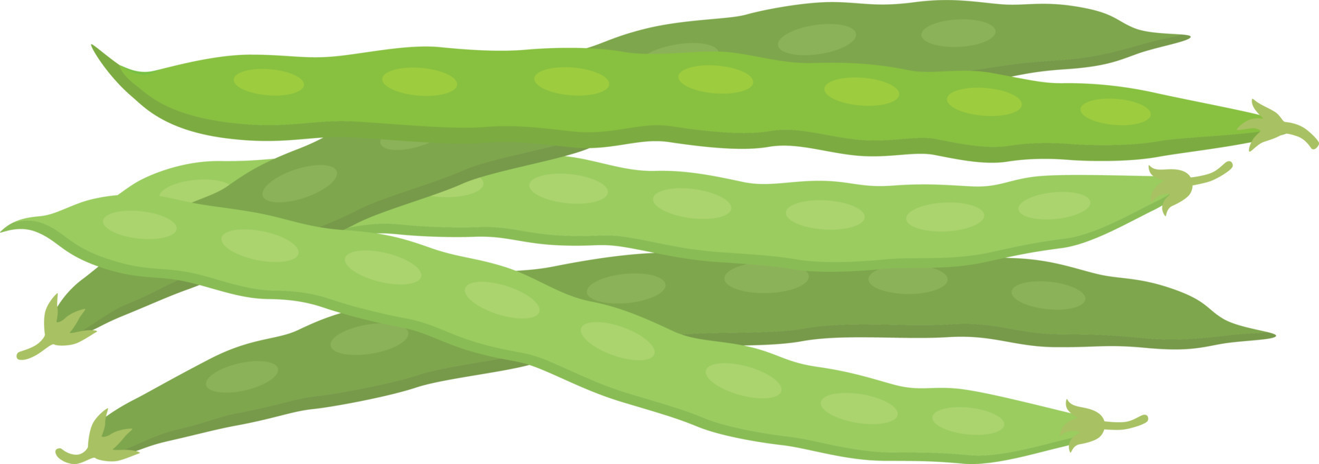 Green beans illustration 24148545 Vector Art at Vecteezy