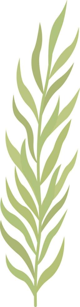 Twig, leaf illustration. vector