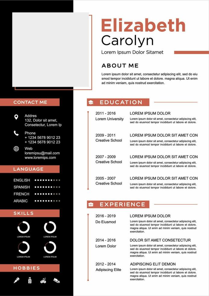professional curriculum vitae template vector