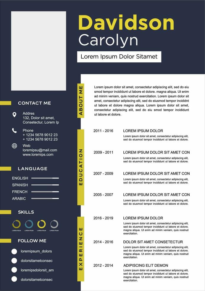 professional curriculum vitae template vector