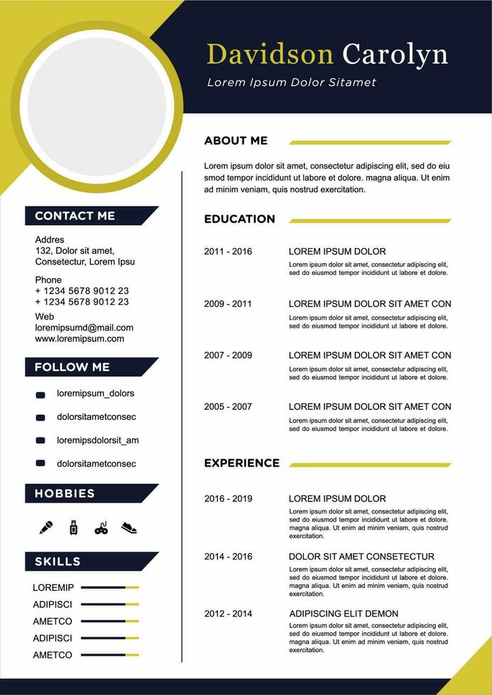 professional curriculum vitae template vector