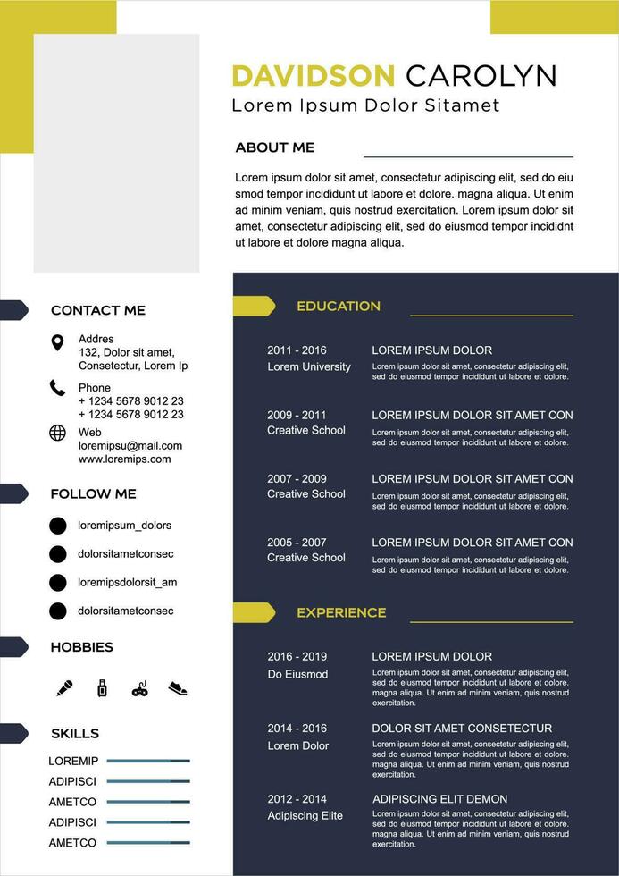 professional curriculum vitae template vector