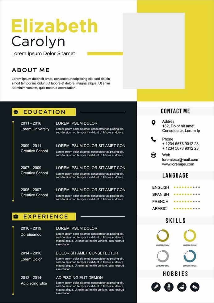 professional curriculum vitae template vector