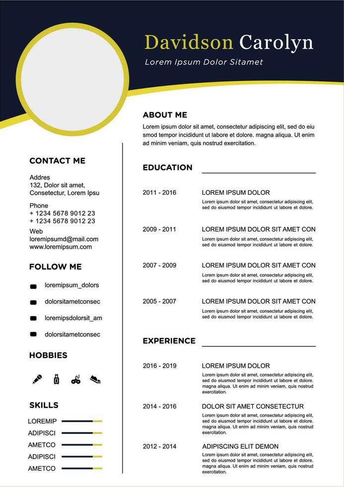 professional curriculum vitae template vector