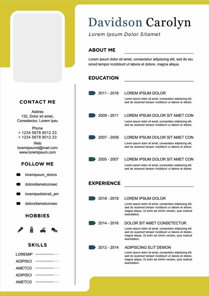 professional curriculum vitae template vector