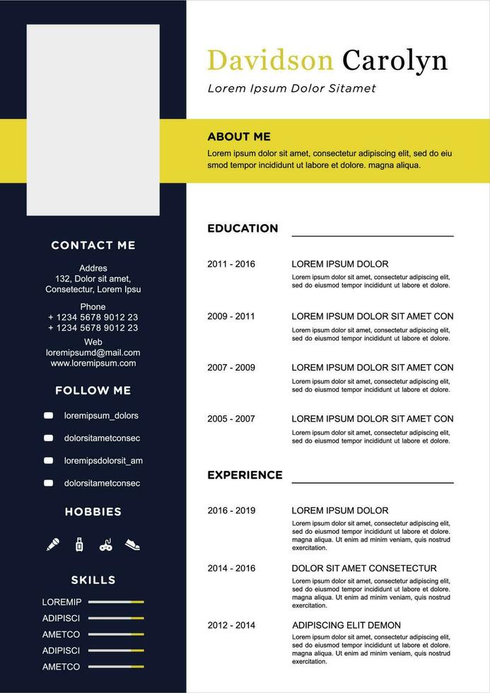 professional curriculum vitae template vector