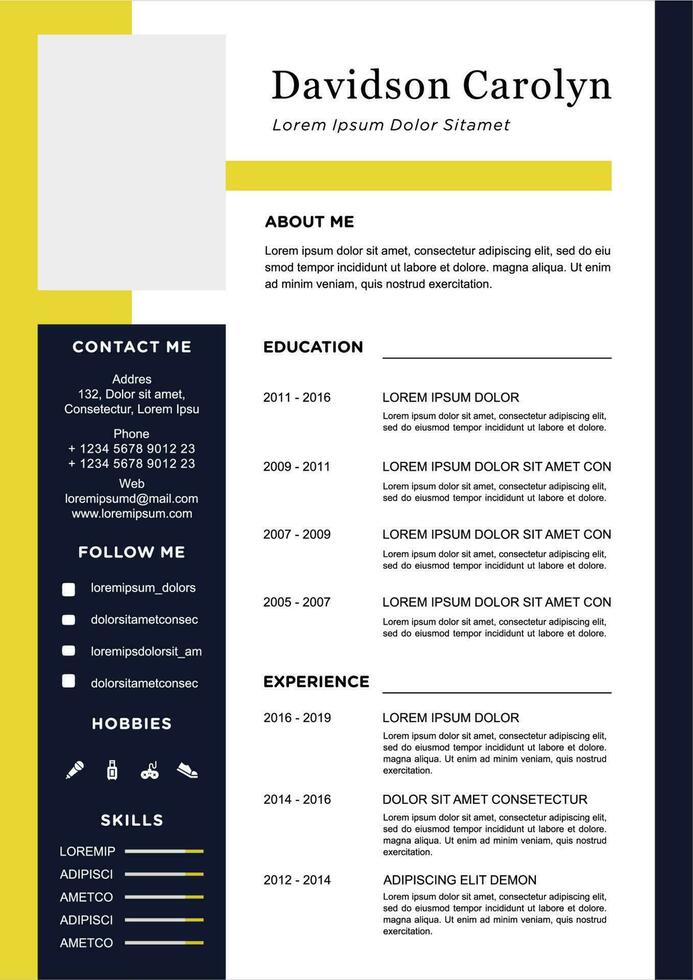 professional curriculum vitae template vector