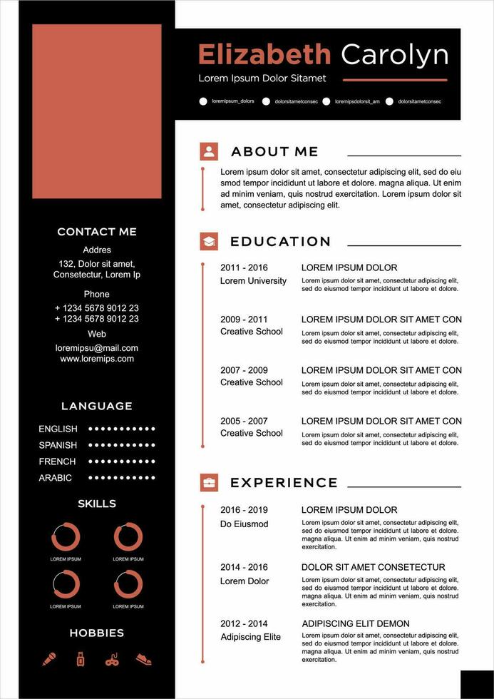 professional curriculum vitae template vector