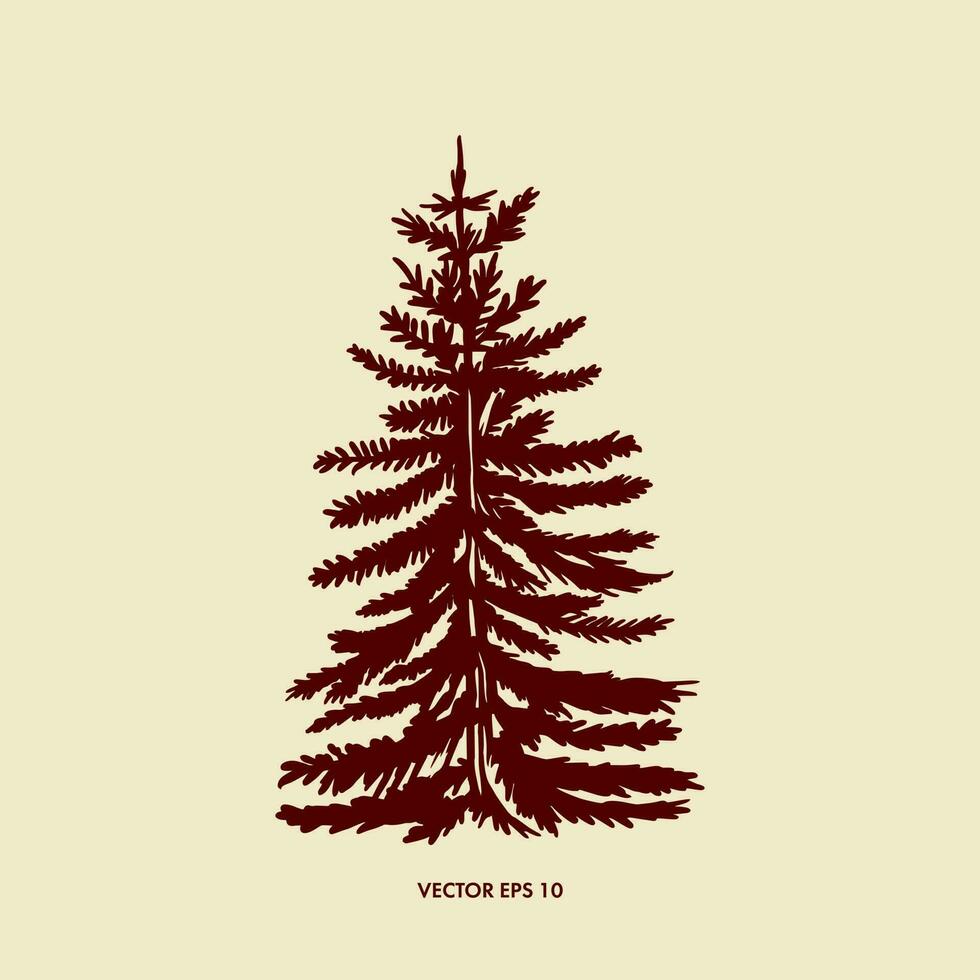 Vector illustration of a coniferous tree, spruce. One-color image. An element of interior design, greeting cards, banners, can be used as a Christmas tree of book illustrations.