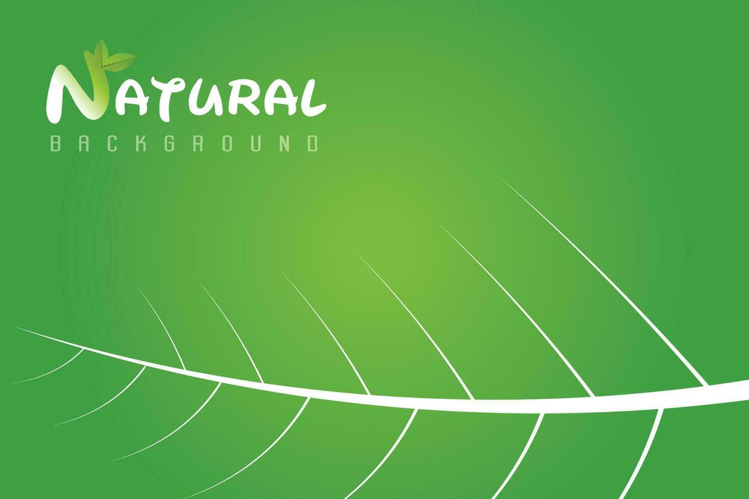 nature green leaft background vector