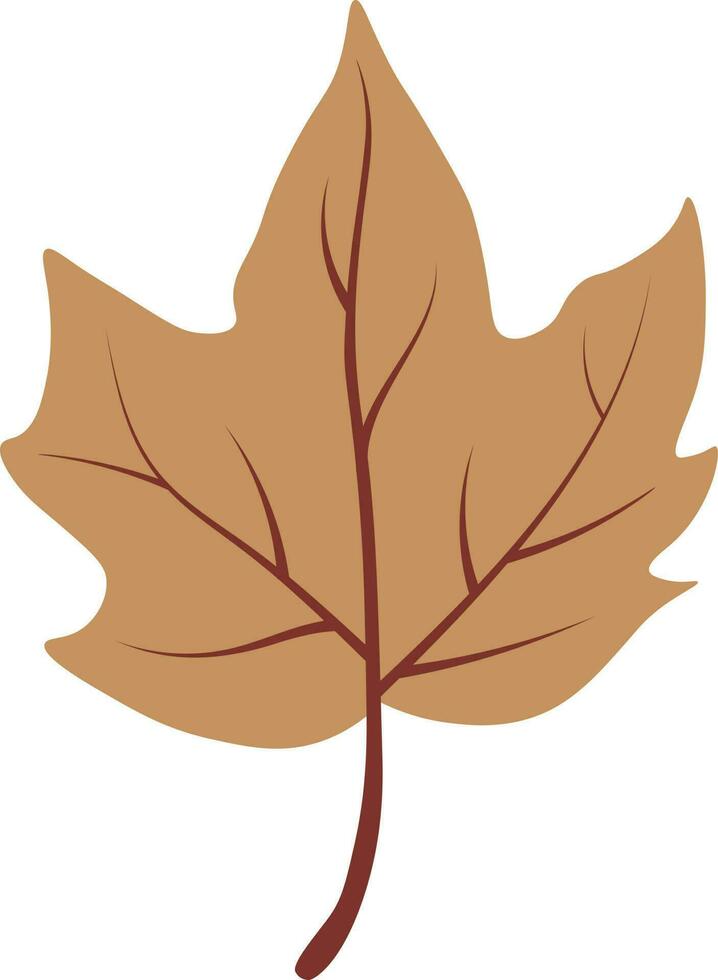 Autumn leaves vector graphic